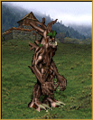 Creature DendroidSoldier.png