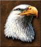 Basic Eagle Eye.png