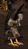 Creature Harpy.png