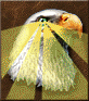 Expert Eagle eye.png