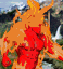 Fire Elemental portrait.gif