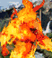 Fire Elemental portrait (HotA).gif