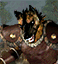 Gnoll Marauder