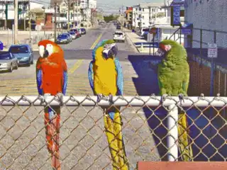 EGA 640 × 350 × 16 colors, EGA palette